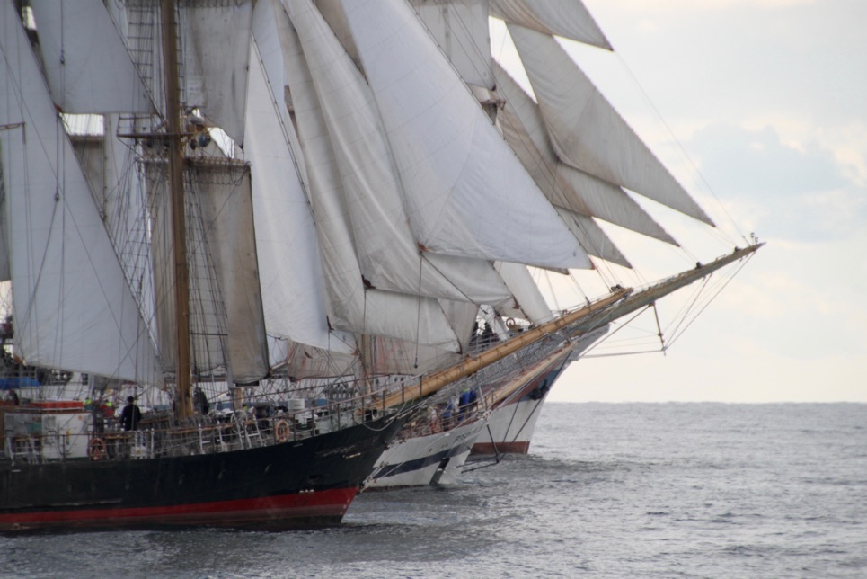 Kaliakra, Pogoria and Mir crossing the start line