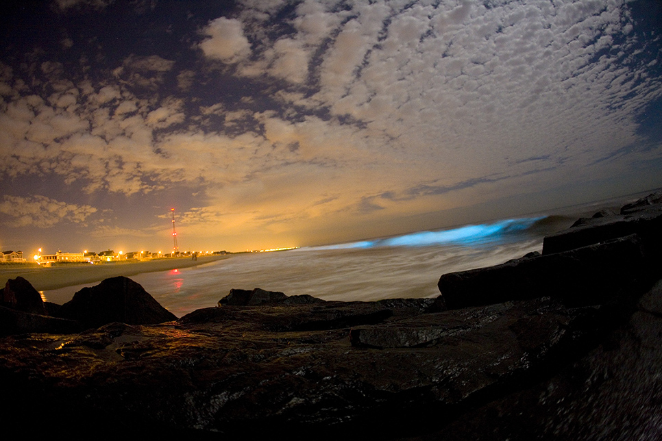 Bioluminescence captured on breaking waves.