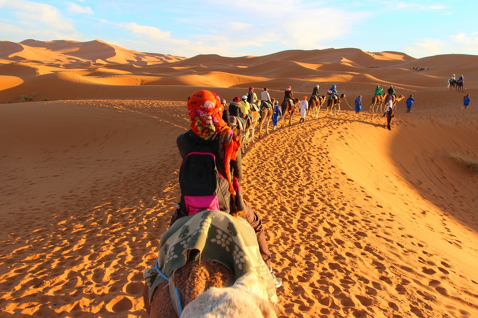 Camel riding caravan in the sahara